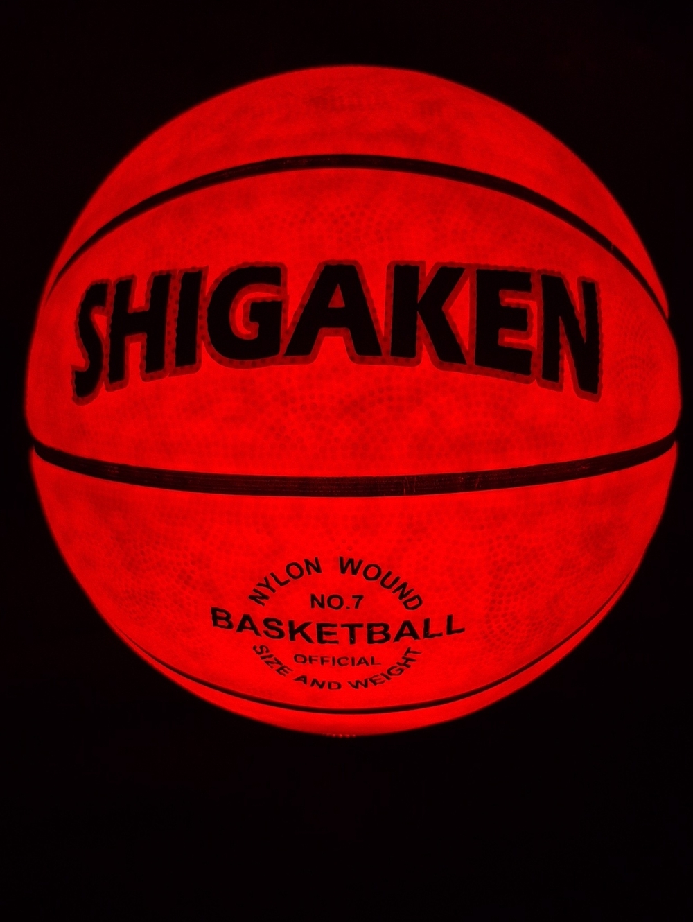 Brand New SHIGAKEN Light-Up LED Basketball with Pump & Batteries